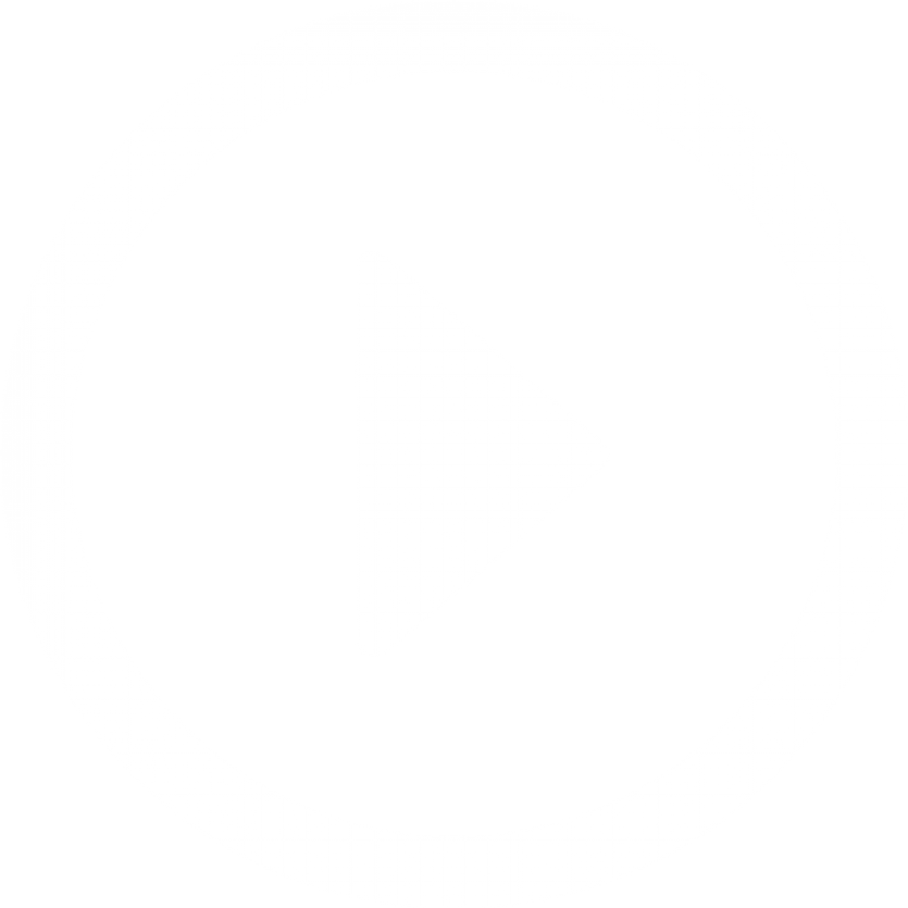 Noire Nepal video play button